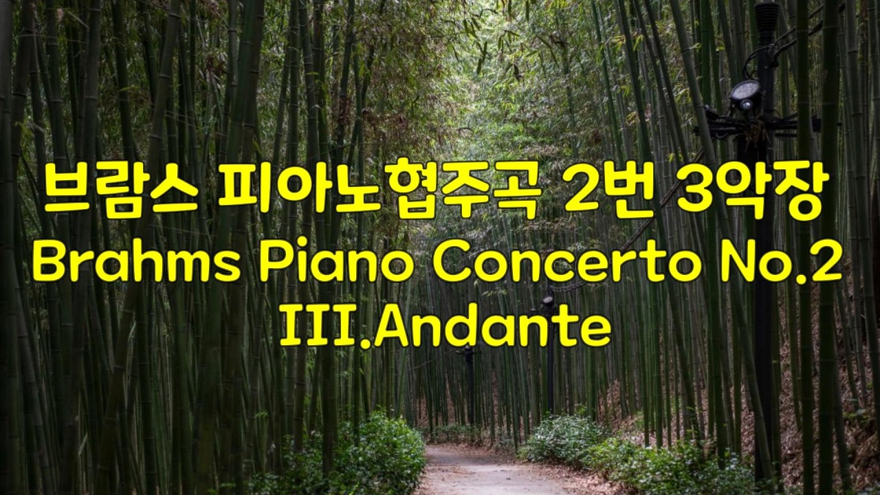 브람스 피아노협주곡2번 3악장 Brahms Piano Concerto No.2, III.Andante #classical #클래식 #classic #brahms #piano