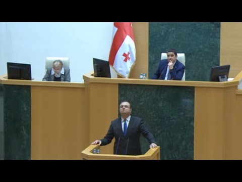 ნაციონალები იუსტიციის მინისტრს მიხეილ სააკაშვილის ფოტოებით დახვდნენ