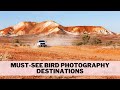 Must-See Bird Photography Destinations