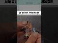 일본 맘카페에서 개떡상한 제품정체 #육아템 #주방꿀템 #실리콘