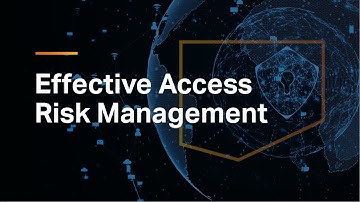 A Holistic View for Effective Access Risk Management