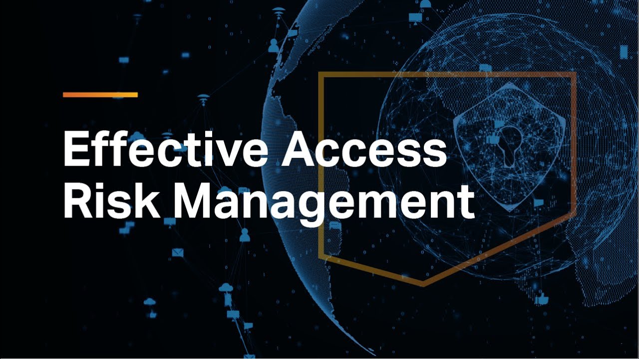 A Holistic View for Effective Access Risk Management