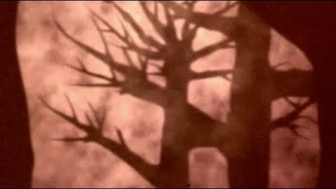 Pixie-Led [Official Video]