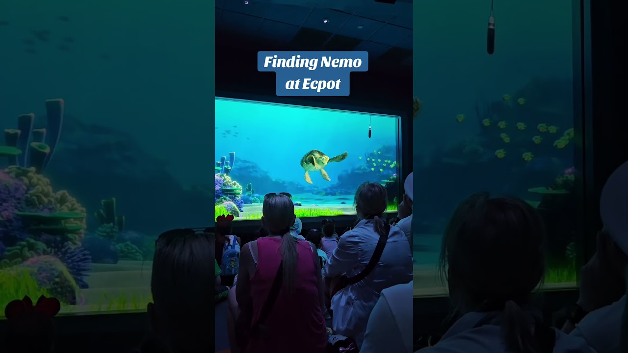 Turtle Talk with Crush