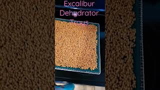 Famous How to dehydrate wheat berries #shorts #shortsvideo #shortsyoutube #wheat #wholesale #cooking #food Wealth