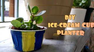 DIY ICE-CREAM CUP PLANTER FOR SUCCULENTS