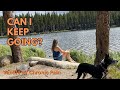Can I Keep Going? Vanlife with Chronic Pain
