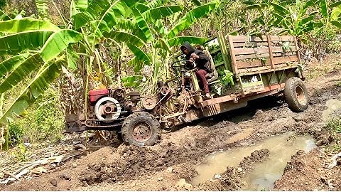 #shortvideo Xe công nông cầu đẩy chở chuối suýt bị lật cực nguy hiểm và cái kết cuộc sống của KIU 81