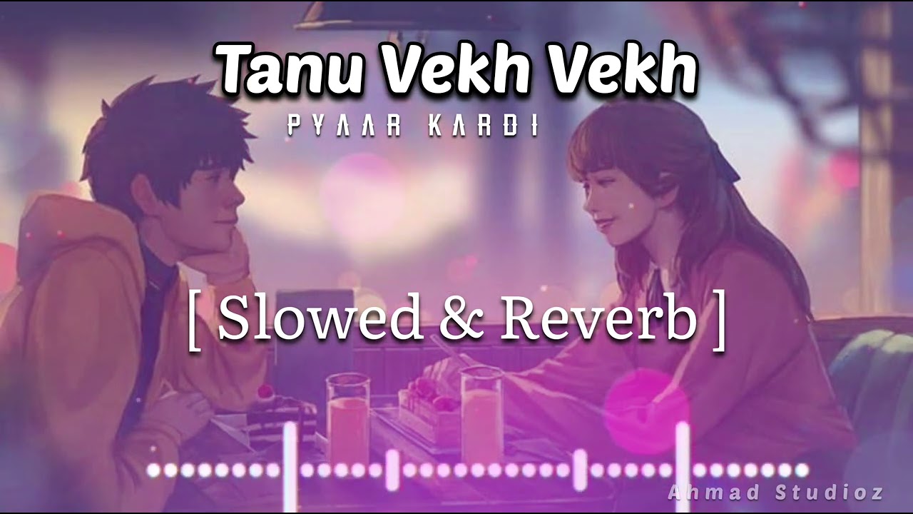 Tanu Vekh Vekh Pyar Kardi  Slowed  Reverb  Lofi Remix