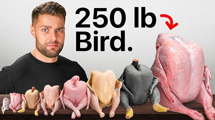 I Cooked Every EXOTIC Bird