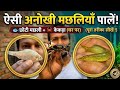 छोटी मछली पालने का सबसे आसान तरीका | Easiest Way To Grow up Small Fish | Patna Fish Market 