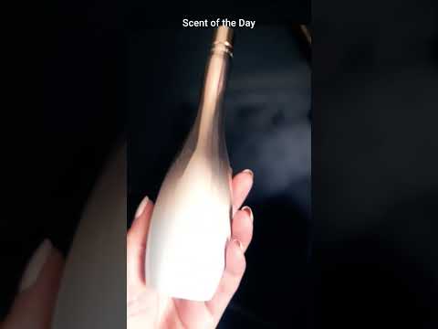 Scent of the