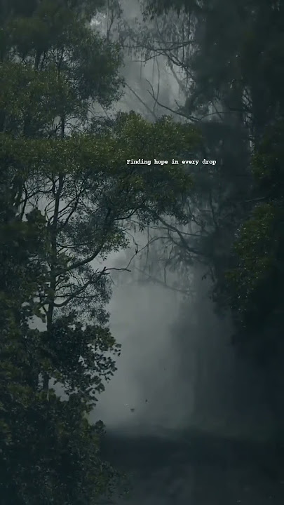 Alam✨, Kepuasan🦋, Hujan☁️, Kutipan🕊️ #hujan #kutipan #alam #memuaskan #celanapendek