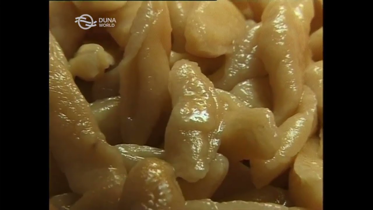 Ízőrzők - Tótszerdahely