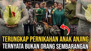 KURANG AJAR!!! PERNIKAHAN ANJING PAKAI ADAT JAWA!!! OT4KNYA DIMANA