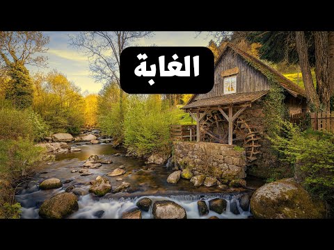 فيديو: المطابخ الأنيقة ، تصاميم الخشب والتكنولوجيا يسلط الضوء على ميلان 2016