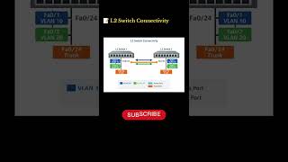 L2 Switch Connectivity #tcp #tcpudp #networkprotocol #vlan #cisco