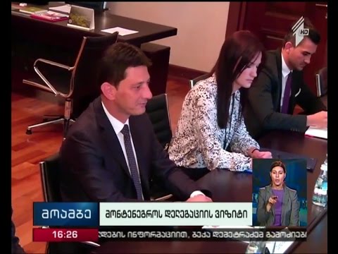 უსუფაშვილმა მონტენეგროს პარლამენტის თავმჯდომარეს უმასპინძლა