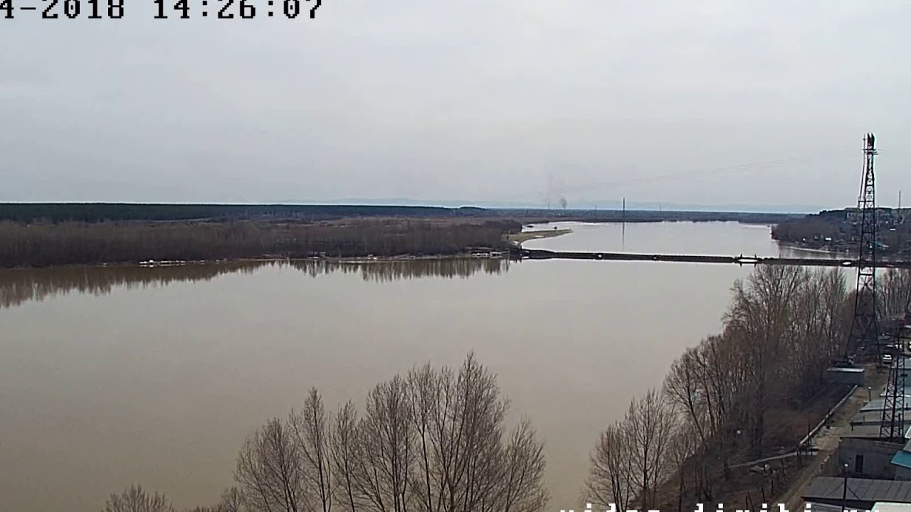 Понтонный мост в бийске Понтонный мост в бийске