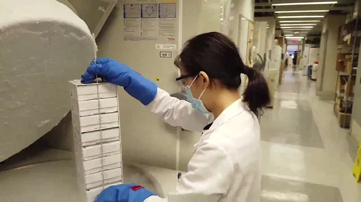 The Power of Your Donations