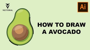 How to Draw a Avocado in Adobe Illustrator