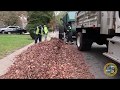 City Curbside Leaf Vacuuming