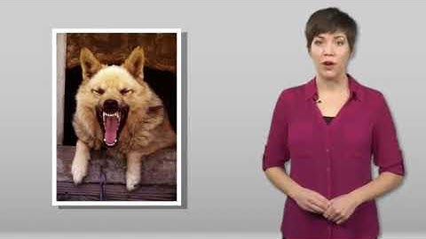 Extended Metaphors in To Kill a Mockingbird