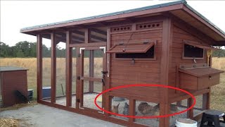 eliminate chicken coop odor 1
