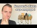 🐂 Криптовалюта обманула быков, но не разочаровала. Биткоин обзор путь к 1000*$ открыт?