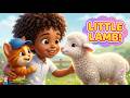 Jojo and Tafi Had a Little Lamb 🐑 | Nursery Rhyme