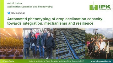 Astrid Junker - Automated phenotyping of crop acclimation capacity (Trailer)