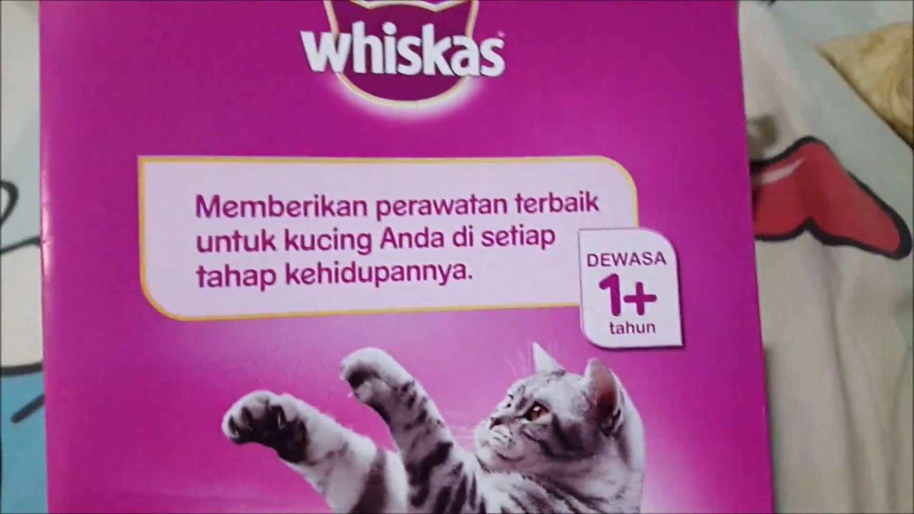 Free sample from Whiskas