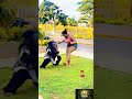 Funny Moments Compilation 😂😂😂