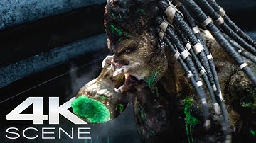 Mega Predator Final Fight (4K Blu-ray) Death Scene - The Predator Clip [2018]