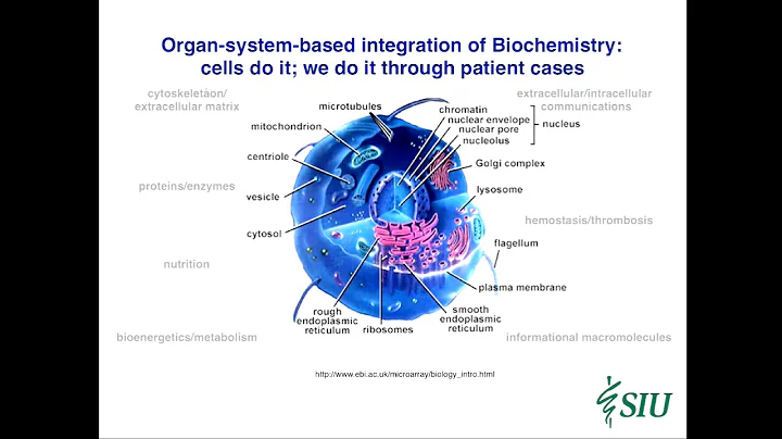 Academic Rodeo Eric Niederhoffer - "Designing Integrated Interdisciplinary Patient Cases"