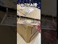 ねこがみ様の痛恨の勘違いでしもべ歓喜【#Shorts】