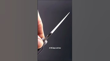 Spyderco Paramilitary 2 #shorts #short #shortvideo #shortsvideo #edc #EverydayCarry #edcgear #feed