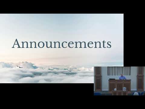 Video preview