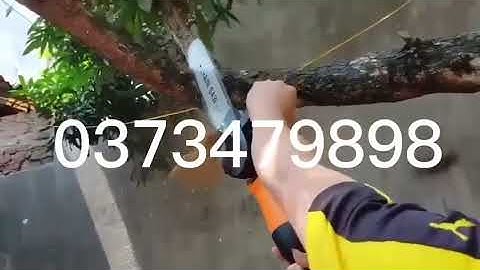 Máy mài Tanaka + bộ chuyển đổi lưỡi cưa xích tiện lợi / 0866.101.611 #shorts