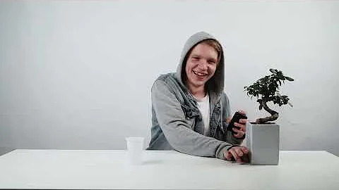 Топ 10 ящериц для содержания дома.
