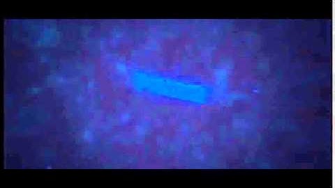 Intro For: JustPrimed/Prime [Made By] HeroT