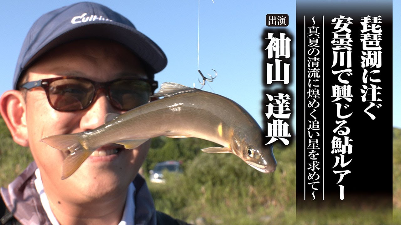 ＃685 琵琶湖に注ぐ安曇川で興じる鮎ルアー～真夏の清流に煌めく追い星を求めて～