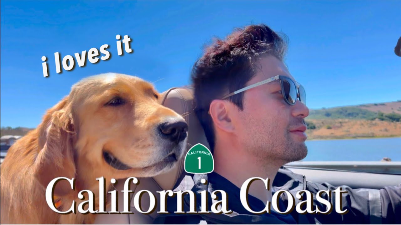 🇺🇸 MY DOG’s WEST COAST Road Trip: Highway 1 | Tomales Bay | NAPA | GOLDEN GATE Bridge | San Fran