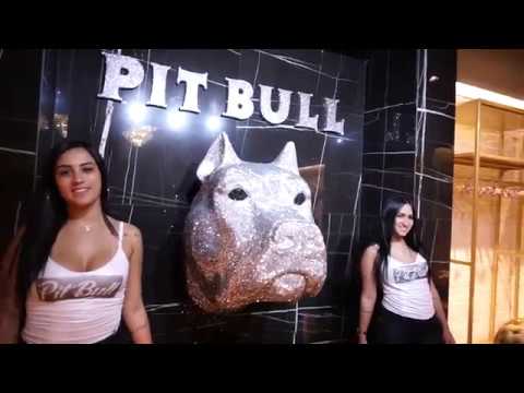 pitbull loja oficial