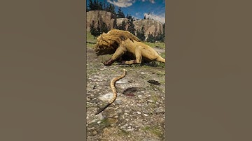 Part 34 Learn great survival skills , #shorts