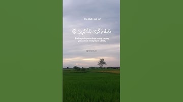 #quran surah hud القرآن سورة هود