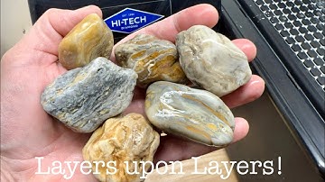 Cutting Rocks | Sensational Stromatoporoids!