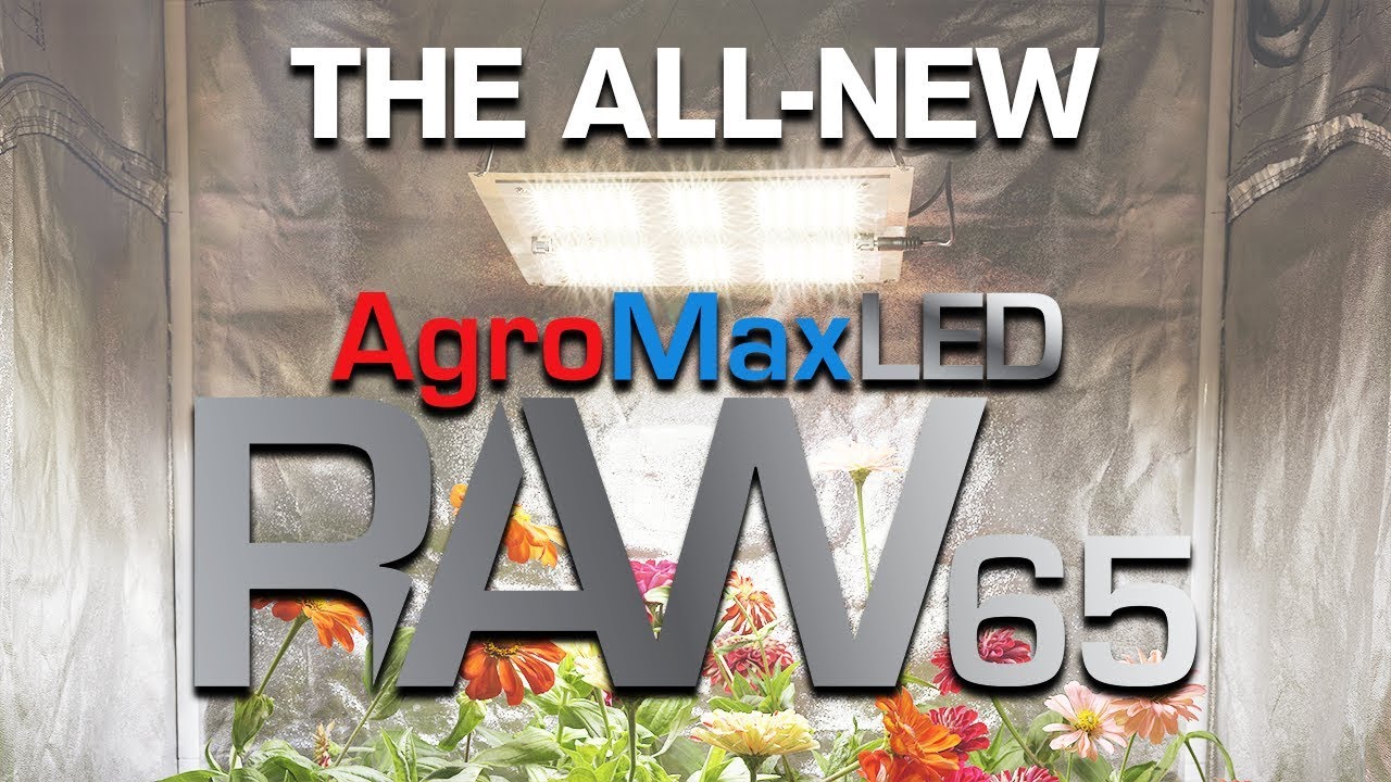 The Agromax Raw 65 Full Spectrum Led Grow Light By Htg Supply