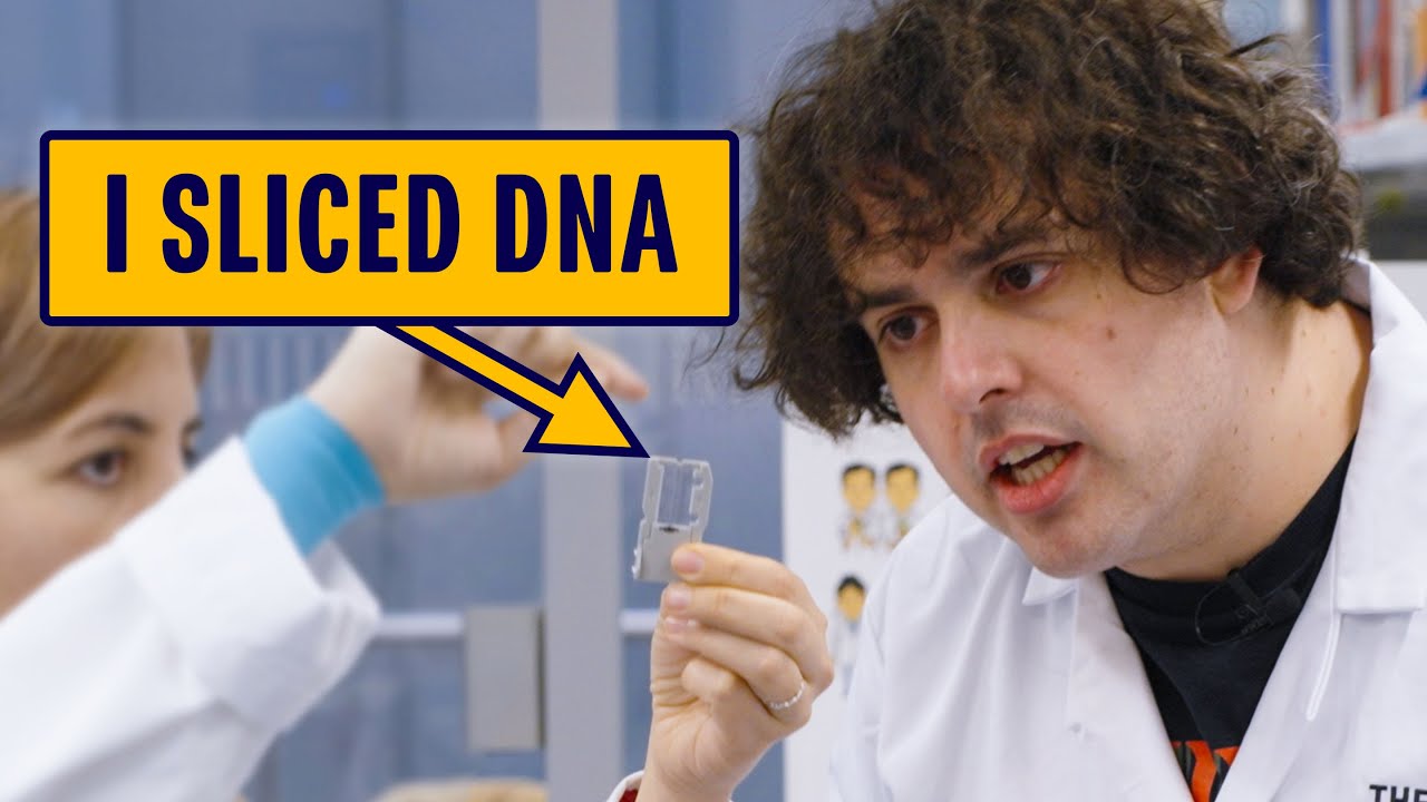 What is DNA Sequencing? | Matt Gray is Trying: Genetics