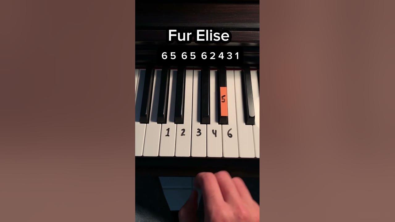 Fur Elise #piano #pianototurial #pianomusic #pianolessons